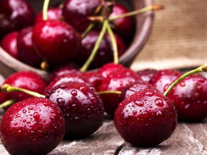 Вишня купить саженцы из питомника в Алексине